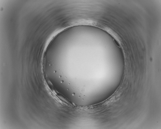 X0000062651104200601040911