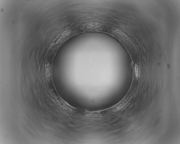 X0000062651107200601040911