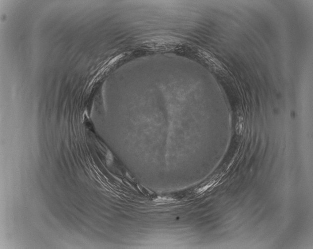 X0000062651108200601040911