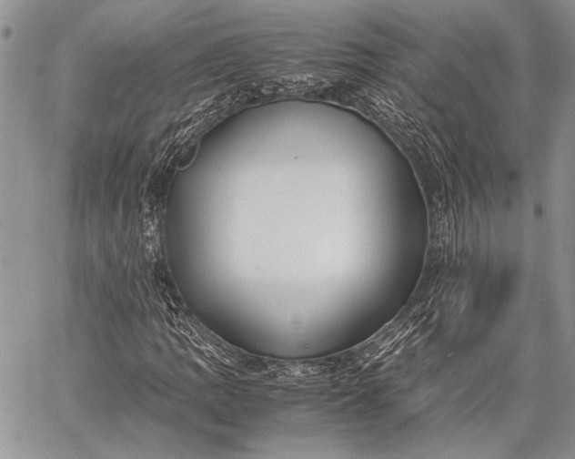 X0000062651109200601040911