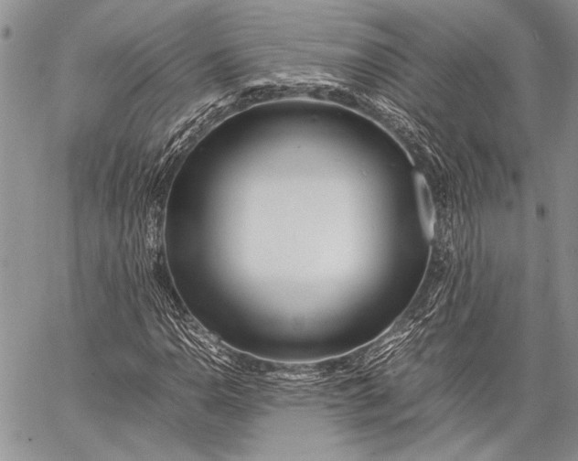 X0000062651110200601040911