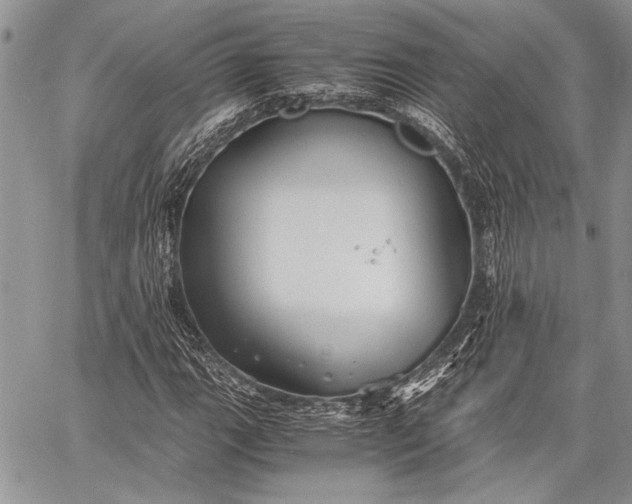 X0000062651111200601040911