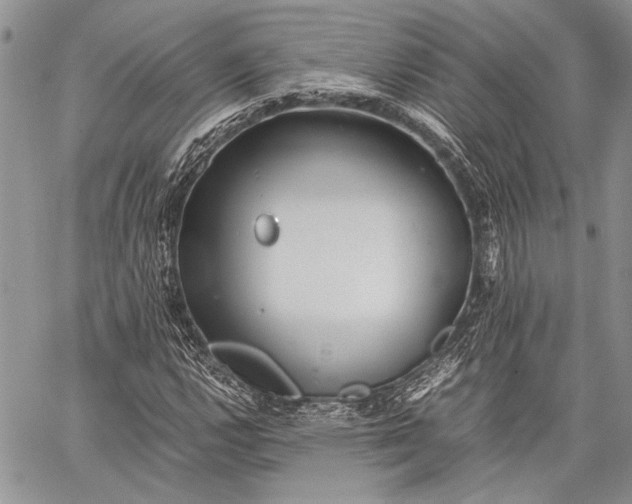 X0000062651112200601040911