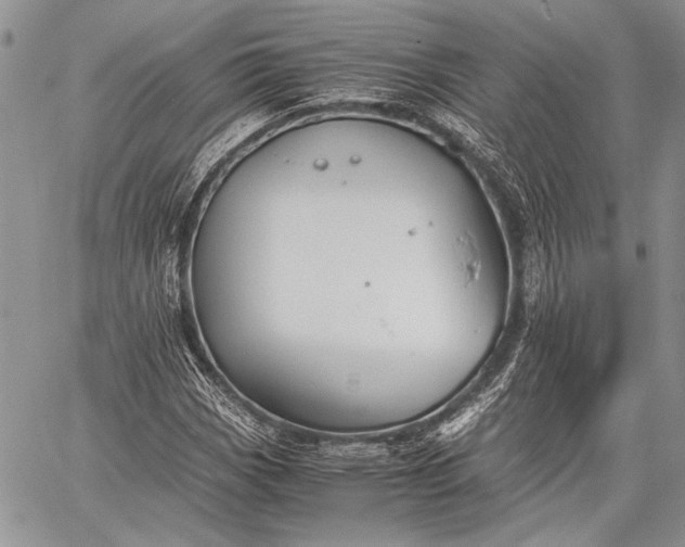 X0000062651113200601040911