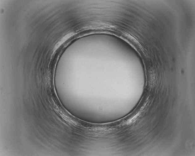 X0000062651114200601040911