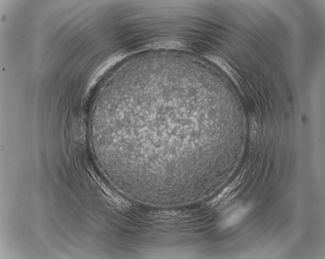 X0000062651115200601040911