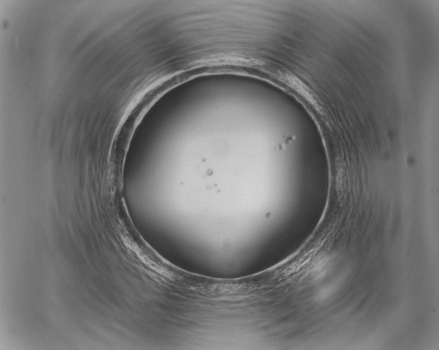 X0000062651116200601040911