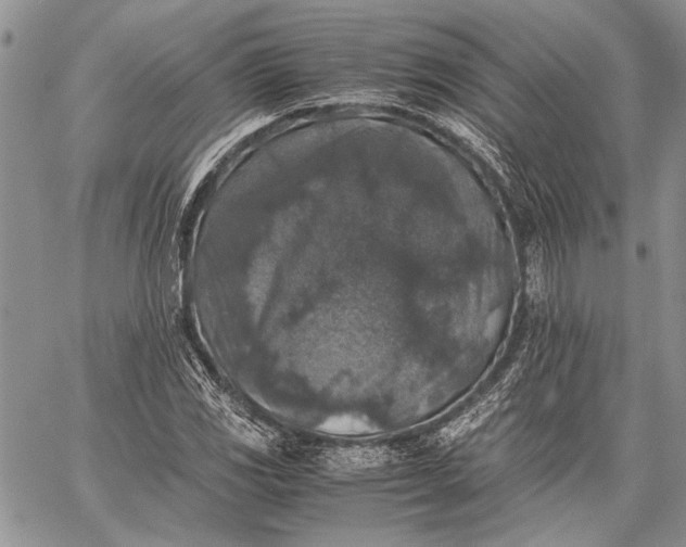 X0000062651117200601040911