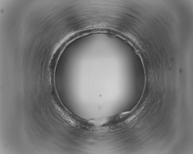 X0000062651118200601040911