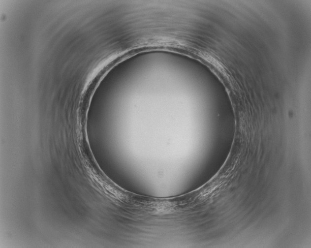 X0000062651120200601040911