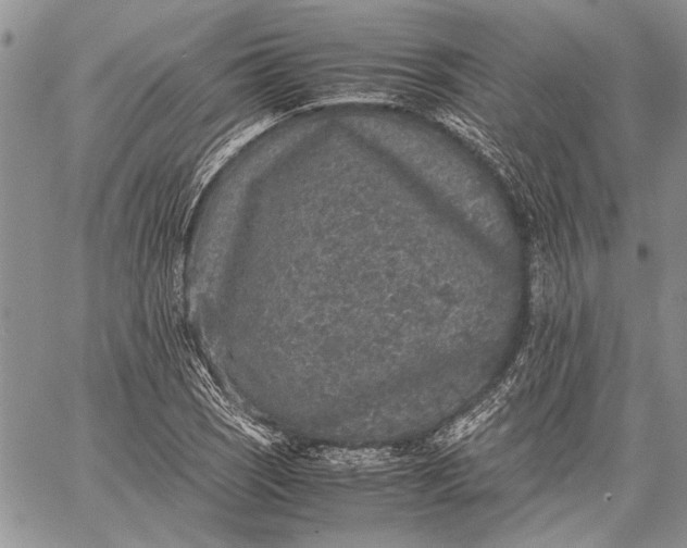 X0000062651121200601040911