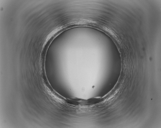 X0000062651122200601040911