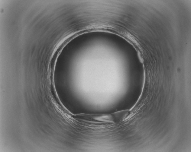 X0000062651124200601040911