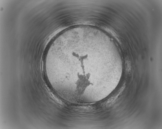 X0000062651125200601040911