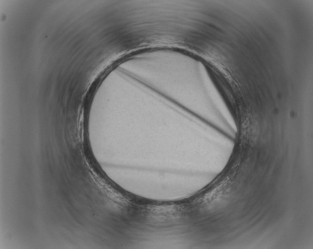 X0000062651126200601040911