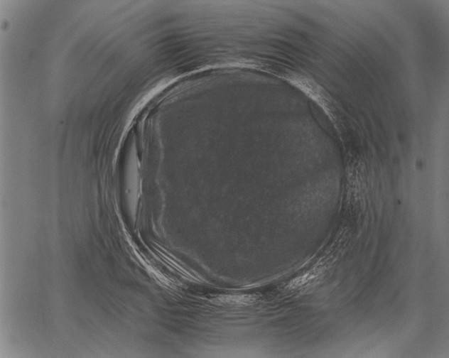 X0000062651127200601040911