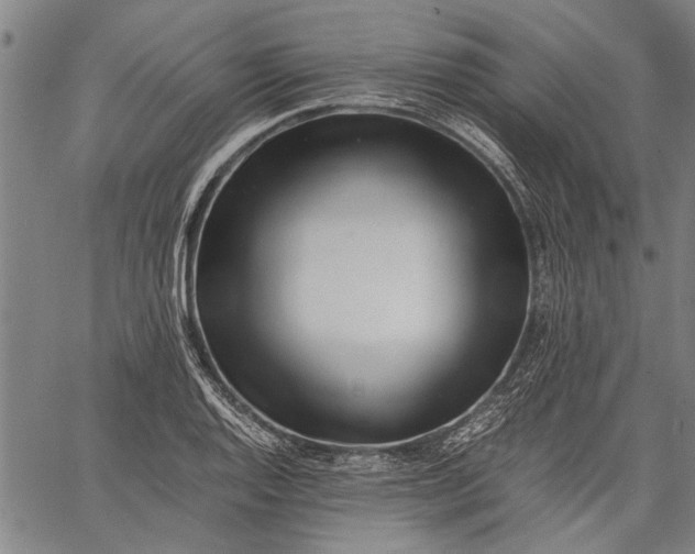 X0000062651128200601040911