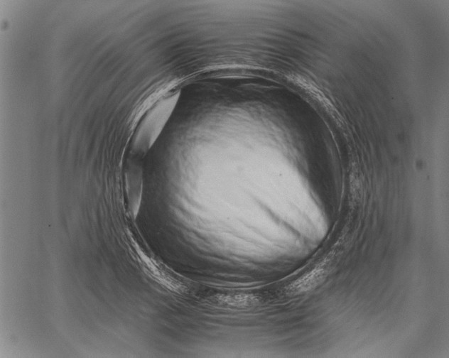 X0000062651129200601040911