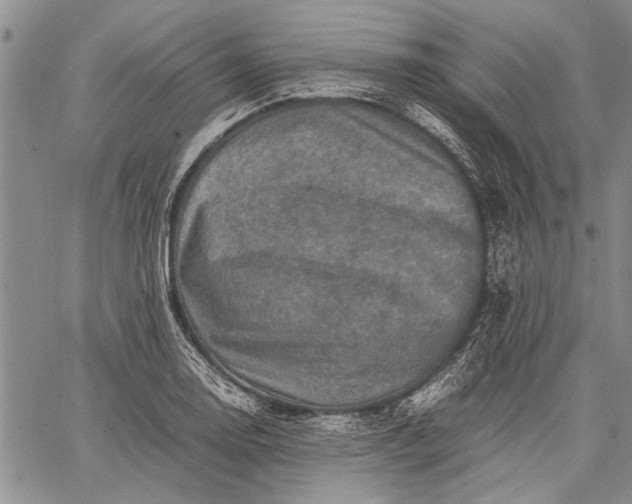 X0000062651130200601040911