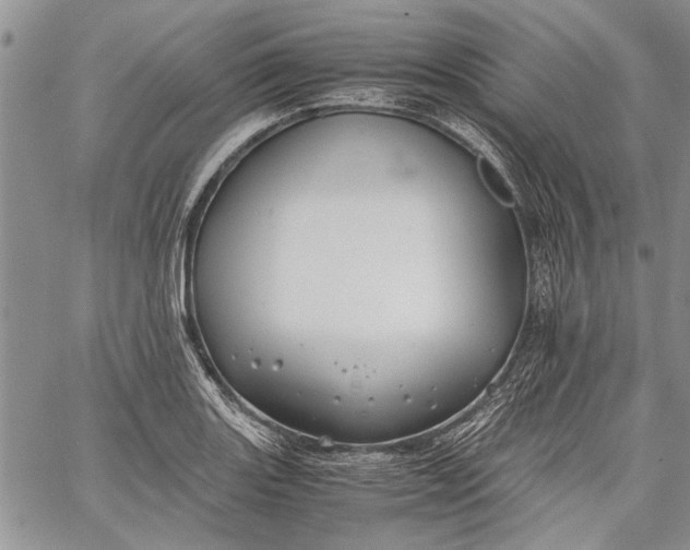 X0000062651131200601040911