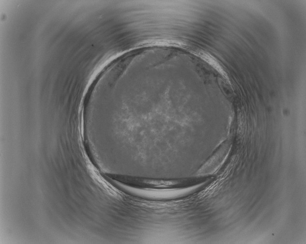 X0000062651132200601040911