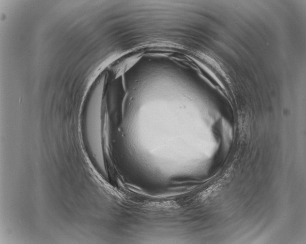 X0000062651133200601040911