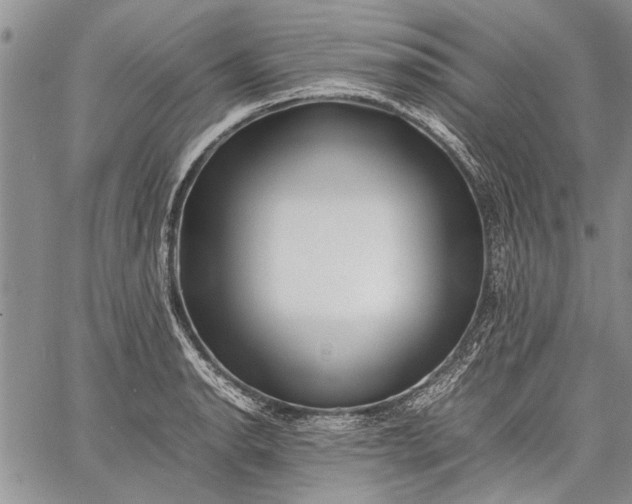 X0000062651134200601040911