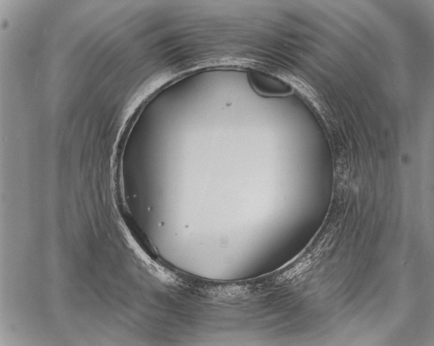 X0000062651135200601040911