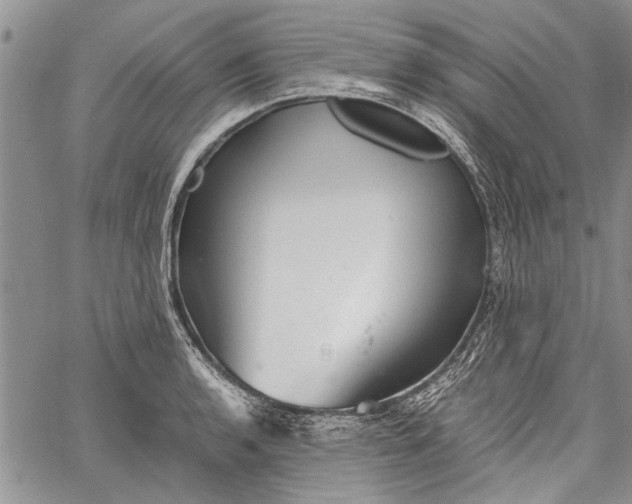 X0000062651136200601040911