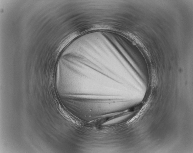 X0000062651137200601040911