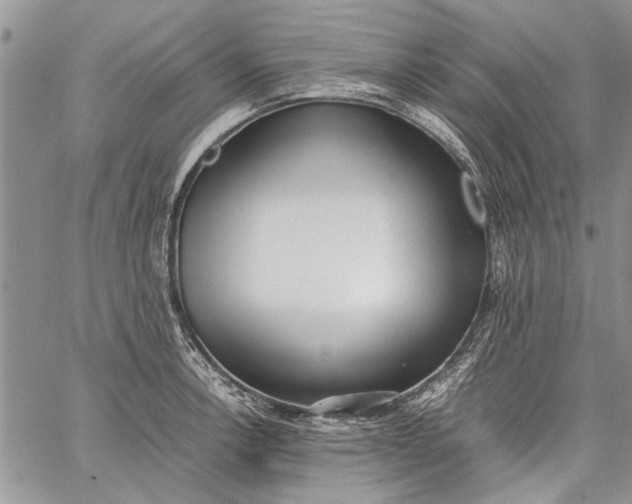 X0000062651138200601040911