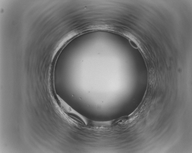 X0000062651139200601040911