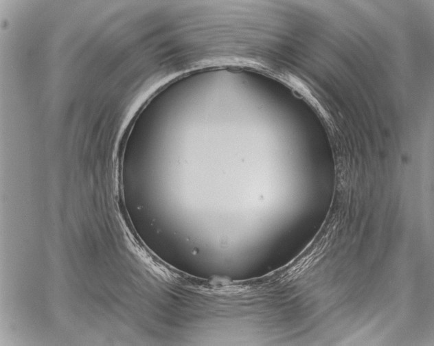 X0000062651140200601040911