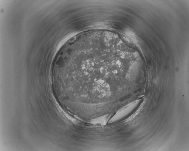 X0000062651141200601040911