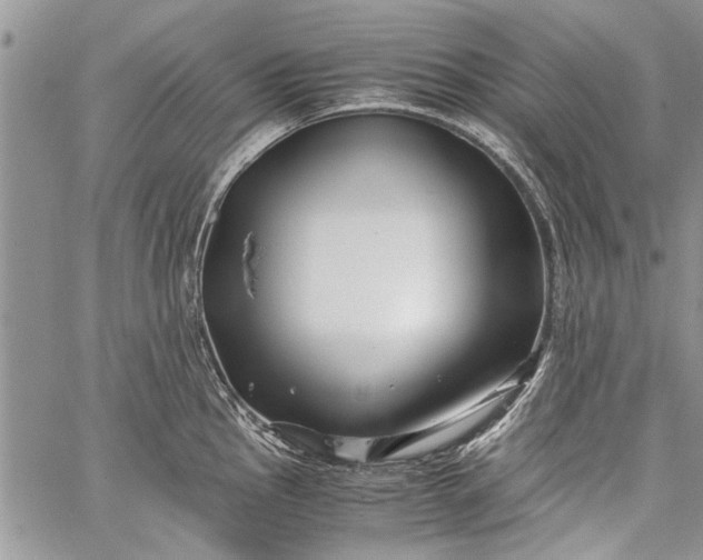 X0000062651145200601040911