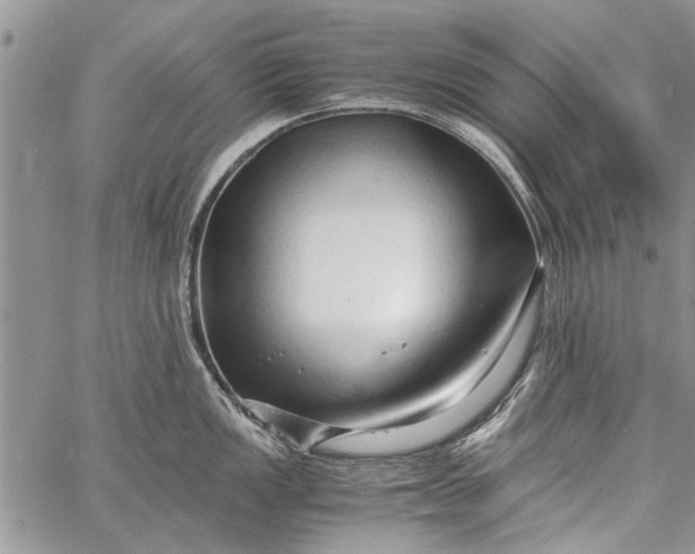 X0000062651149200601040911