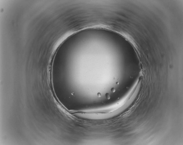 X0000062651151200601040911