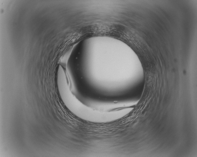 X0000062651153200601040911