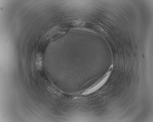 X0000062651154200601040911