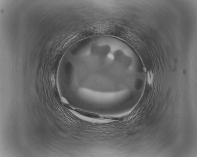 X0000062651155200601040910