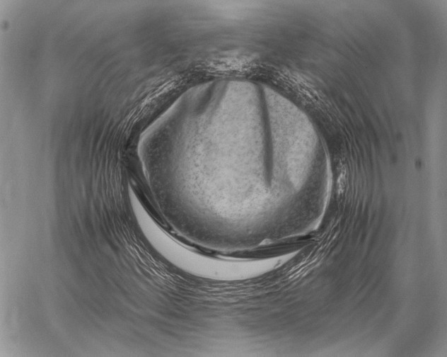 X0000062651156200601040910