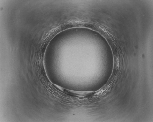 X0000062651157200601040910