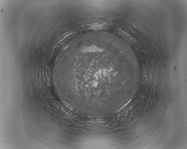 X0000062651158200601040910