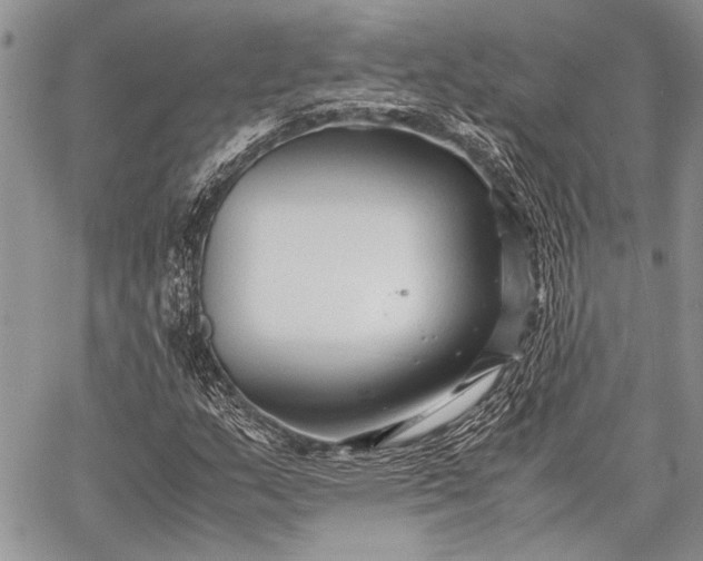 X0000062651159200601040910