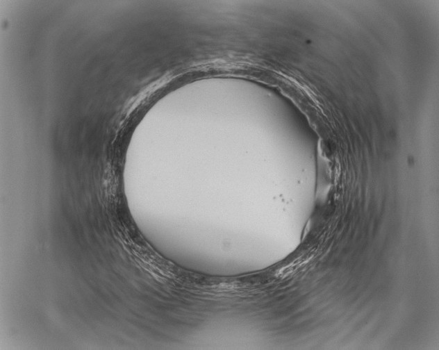 X0000062651160200601040910