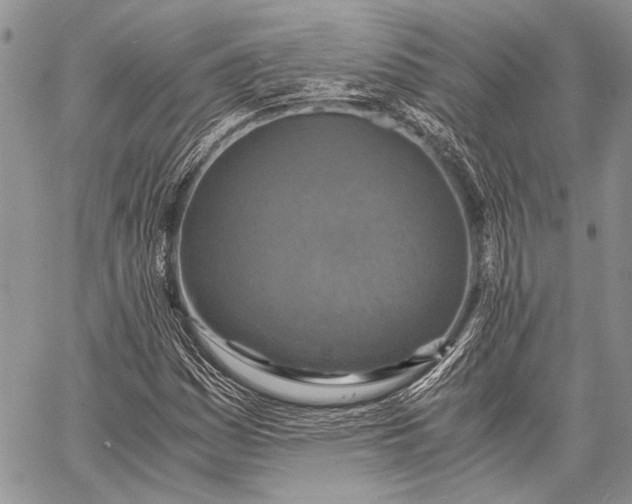 X0000062651161200601040910