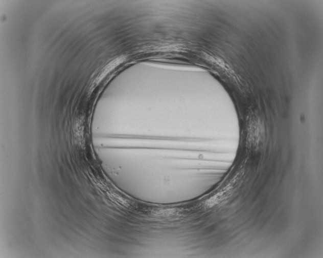 X0000062651162200601040910