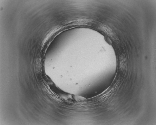 X0000062651164200601040910