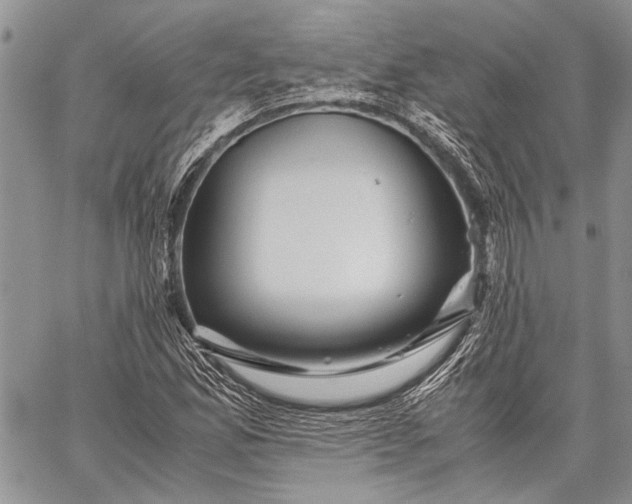 X0000062651165200601040910