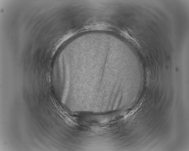 X0000062651166200601040910